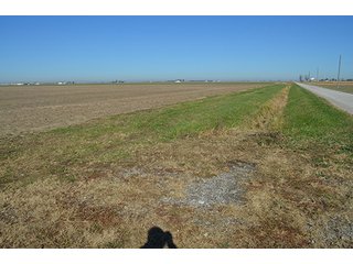 Tract 2 - FARMLAND AUCTION - 165.5+/- ACRES OFFERED IN 5 TRACTS OR COMBINATIONS IN EAST ALLEN COUNTY